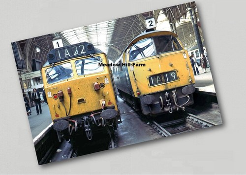 Fridge magnet class 52 - 50,