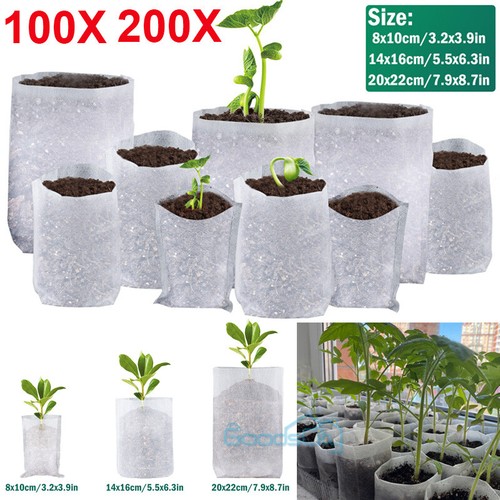 100 200 pack plant grow - grow, bags