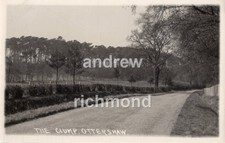 Ottershaw The Clump Surrey Chertsey Woking Vintage Plain Back Photo Card