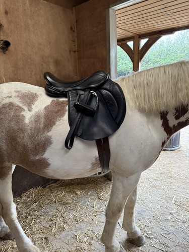 Pony cob horse ltd chunky - horse, ltd/chunky