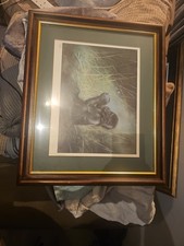 Joal Kirk Sitting Pretty