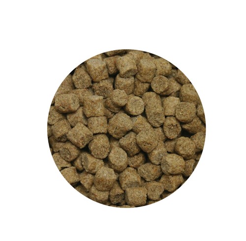 Skretting coarse fish - skretting,