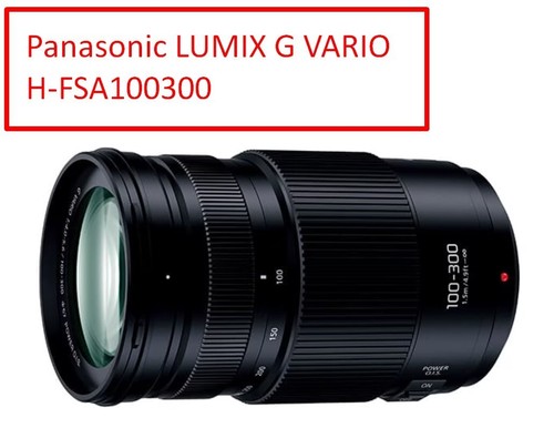 Panasonic lumix vario - g,