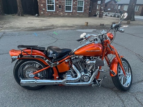 2008 harley davidson - 2008, fxstsse2