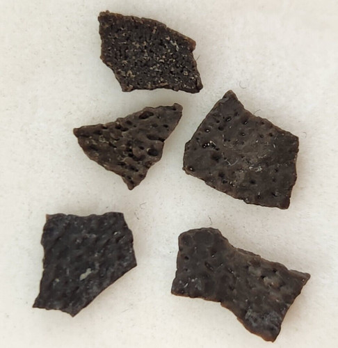 Hadrosaur egg shell fossils - hadrosaur,