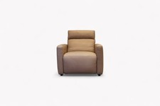 Ridley Power Recliner