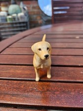 beswick labrador