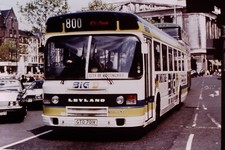 Original Bus Slide City line