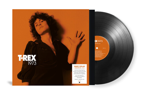 Rex songwriter 1973 vinyl - :, songwriter: