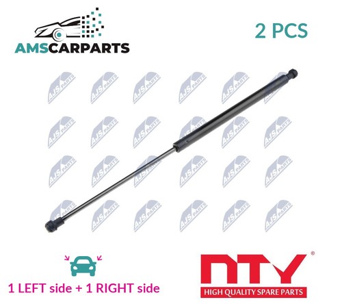 Tailgate boot struts - boot, rear