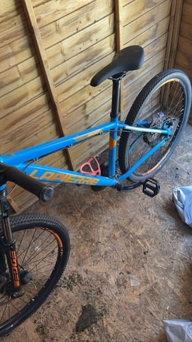 Mountain bike - mountain,
