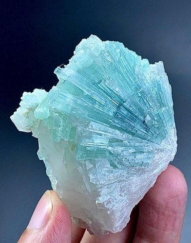 722 carat tourmaline crystal - tourmaline,