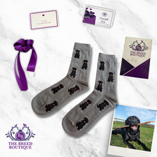 BLACK LABRADOR SOCKS - GREY -