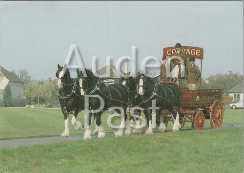 Horse drawn courage - courage, shire