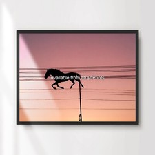 Horse Equestrian Silhouette