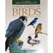 Encyclopedia north american - of,