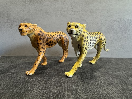 Aaa elc cheetah bundle - aaa,