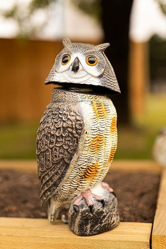 Garden bird deterrent decoy - bird,