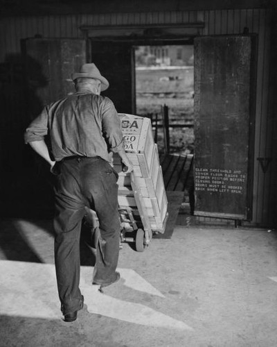 Man pushing sack truck - man,
