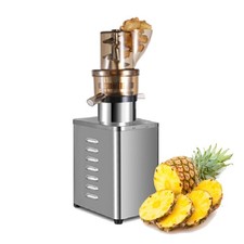 Commercial Juicer Cold Press