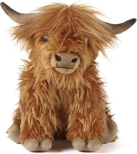 Living nature highland cow - living,
