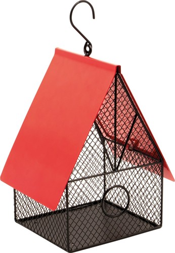 Garden outdoors wild bird - garden,
