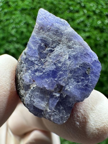 Wow tanzanite crystal - tanzanite, with