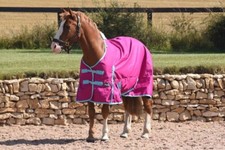 Horse Turnout Rug No Fill