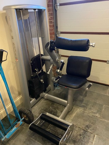 Commercial lower back gym