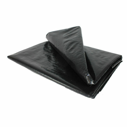 All size fish pond - fish,