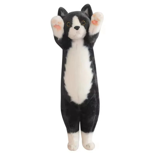 Black long kitten cat - long,