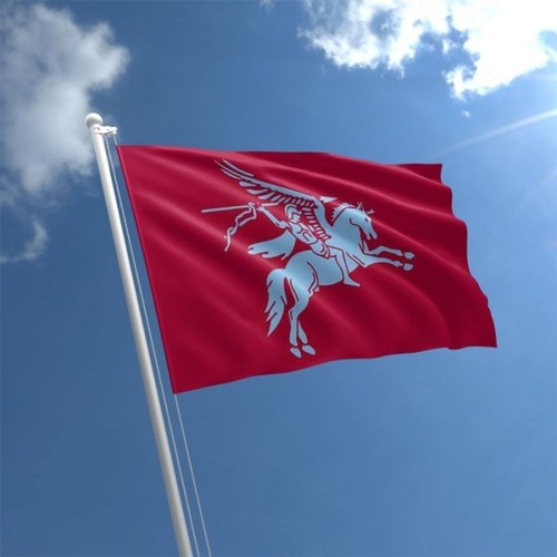 Pegasus flag 5ftx3ft - bn, with