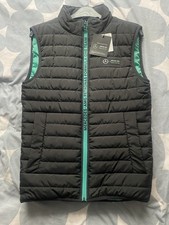 Mercedes‑AMG Petronas F1