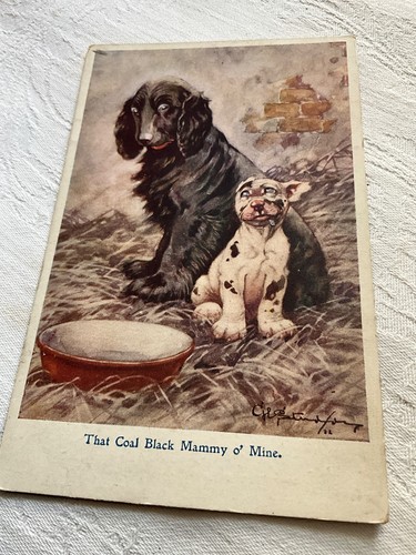 Bonzo dog vintage - bonzo,
