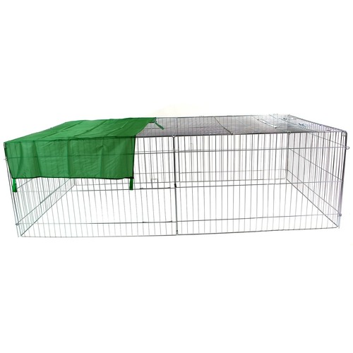 Metal run rabbit - rabbit, guinea