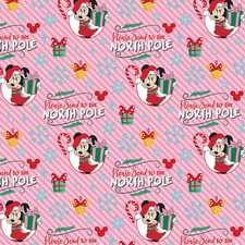 Disney Minnie Mouse North Pole