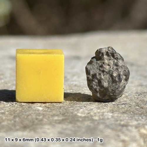 Nwa 869 meteorite common - nwa,
