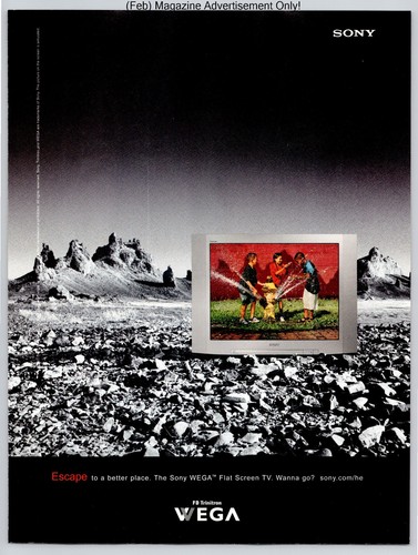 Sony wega flat screen - screen, desert