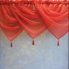 1 VOILE SWAG SWAGS TASSLE