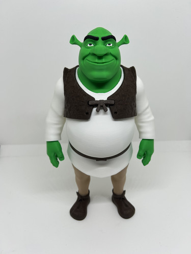 Shrek print 20cm movie - 3d,
