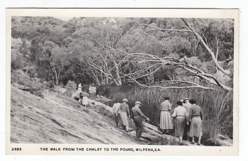The walk from wilpena chalet - the,