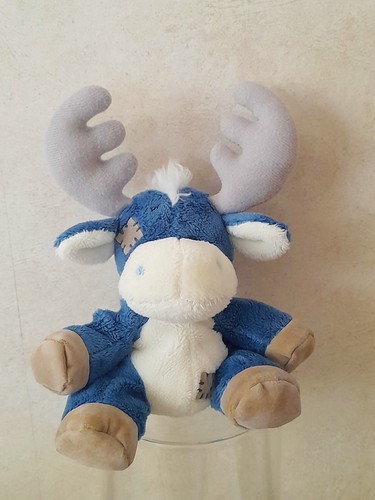 Blue nose friends soft - nose,