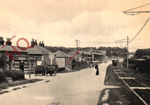 Picture postcard cowplain - picture, postcard,
