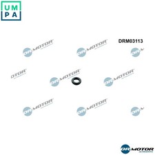 SEAL RING INJECTOR DRM03113