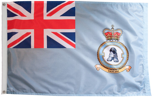 Raf 208 squadron - raf, flag