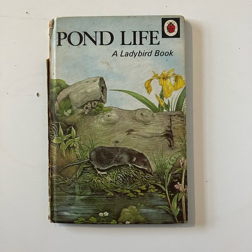 1966 vintage ladybird - 1966,