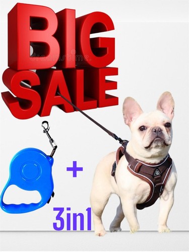 Dog harness and leash - and, for