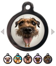 Border Terrier Dog Breed Pet