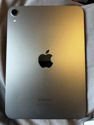 Apple ipad mini 256gb - mini,