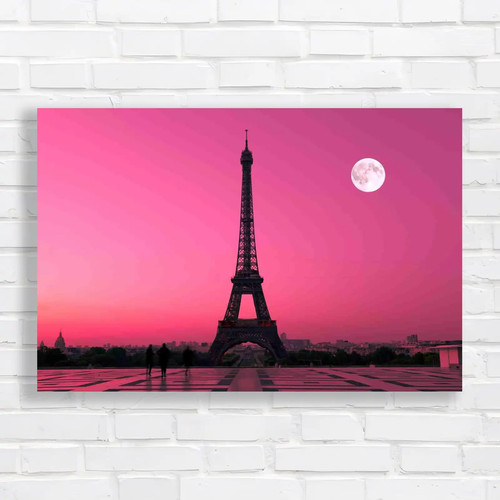 Eiffel tower view trocadero - view,